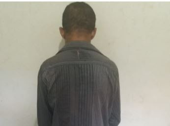 Homem é preso pela Polícia Civil por tentar matar o sobrinho em Dianópolis (TO)