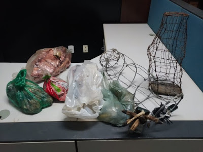 Polícia prende homem suspeito de furto de gado, crime contra a fauna e violência doméstica no Tocantins