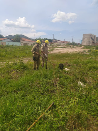 Campos Belos (GO): Bombeiros resgatam cãozinho caído em cisterna de terreno baldio