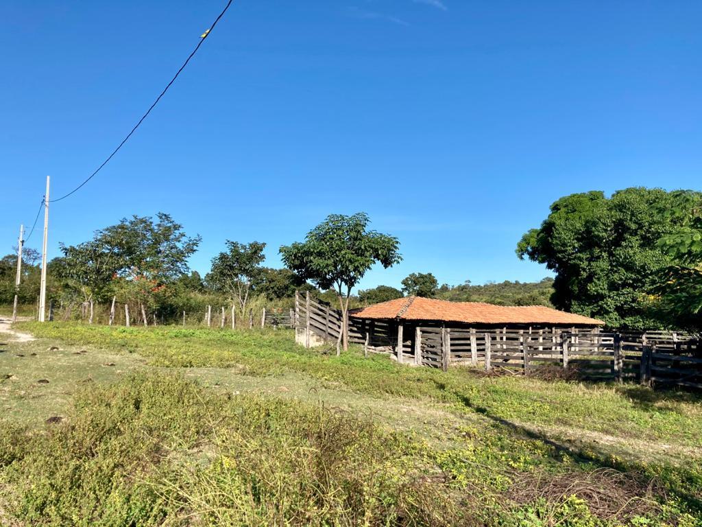 Empresa de consultoria imobiliária rural, em Arraias (TO), oferece um carro zero por indicação de clientes para compra efetiva de fazendas