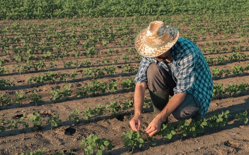Justiça impede Banco do Brasil de tomar sítio de produtor rural em Minaçu