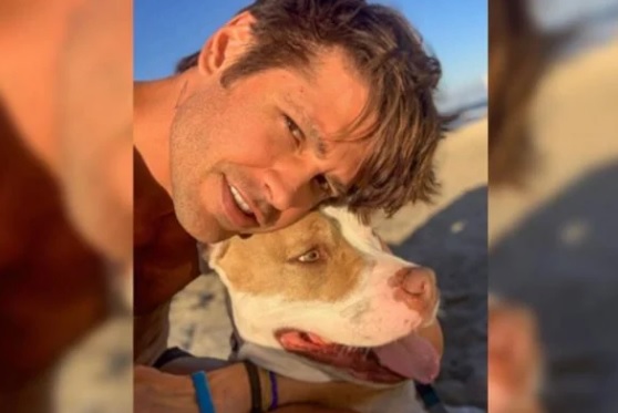 Pit-bull de Dolabella é “vegana”: “Sem carne há anos”; há reclamação de ataques