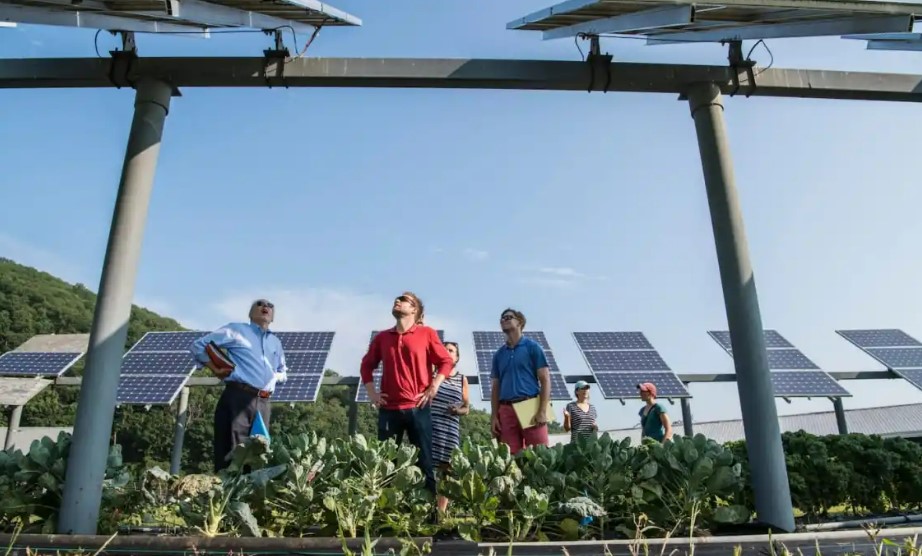 FCO: aprovados R$ 358 milhões para atividades empresariais e rurais em Goiás