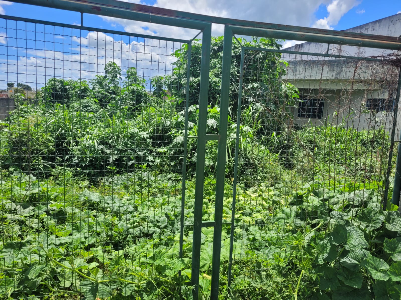 Moradores reclamam do abandono do Clube Social de Combinado (TO)