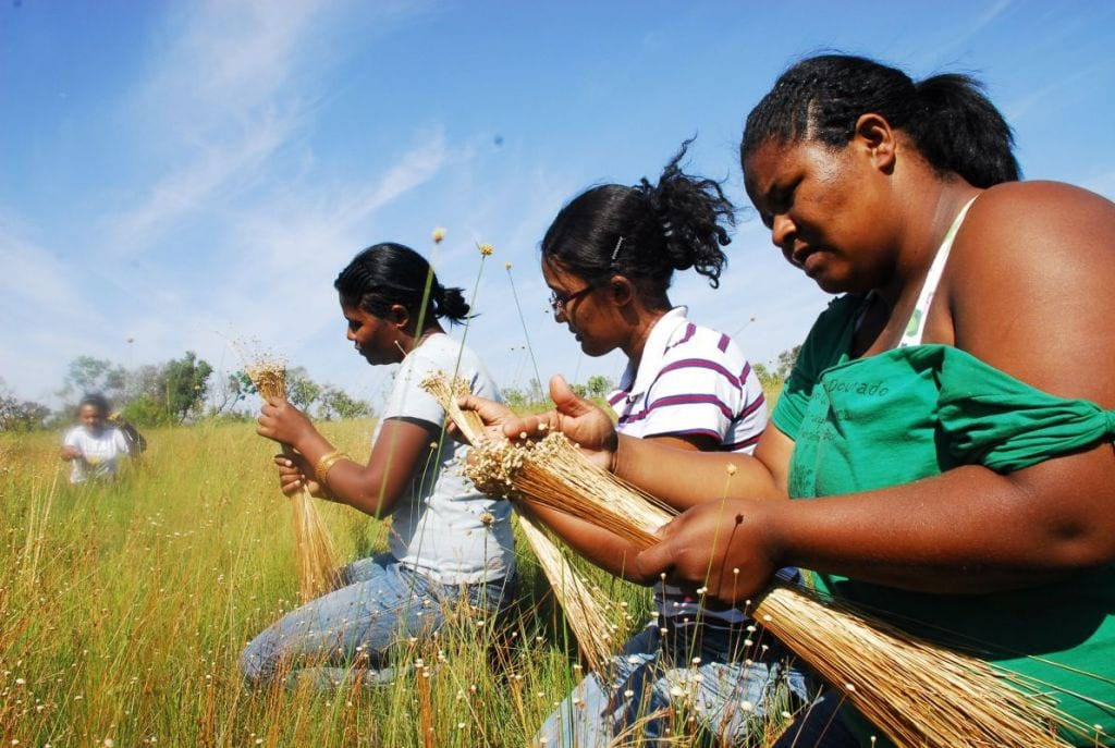 Tocantins tem 12,8 mil quilombolas; em Arraias (TO) está o maior número de membros, mas Mateiros lidera em proporção à população