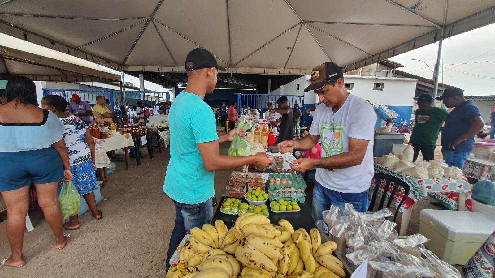 4º Encontro e Feira da Agricultura Familiar de Paranã (TO) movimenta e aquece economia local