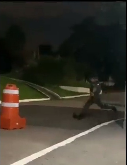 Estado não acompanha avanço social no combate a maus-tratos animais, diz jurista