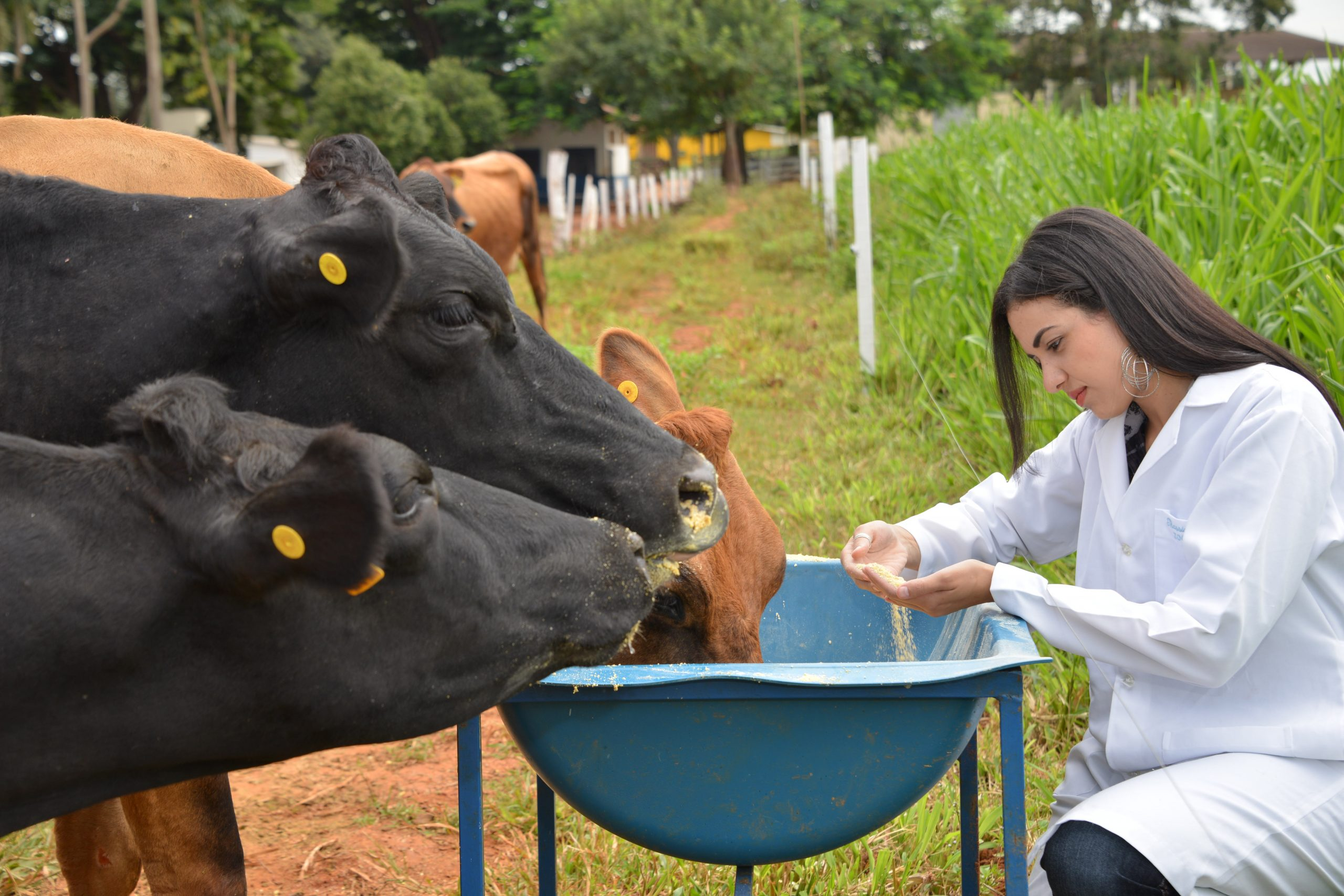 Curso de Zootecnia do IF Goiano em Campos Belos (GO) recebe Conceito 4 do INEP/MEC; Nota é de 1 a 5