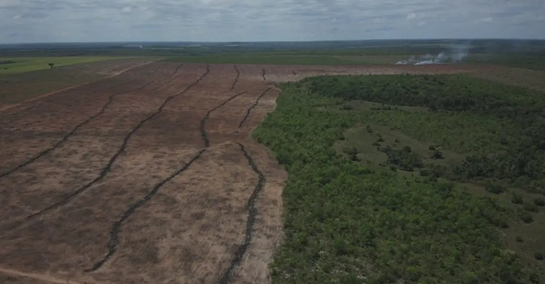 Matopiba: Ibama embarga 2,2 mil ha e aplica multa de R$ 10,3 milhões