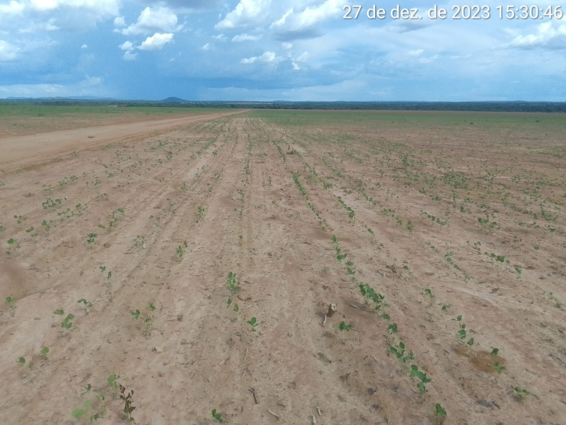 Seca no sul e sudeste do Tocantins provoca situação de emergência em três municípios