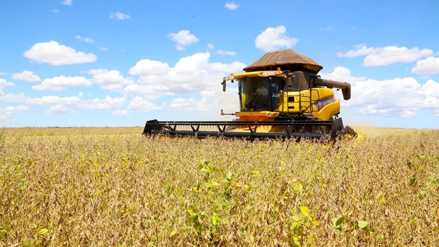 Colheita de soja no Oeste da Bahia atinge quase 50% da área plantada