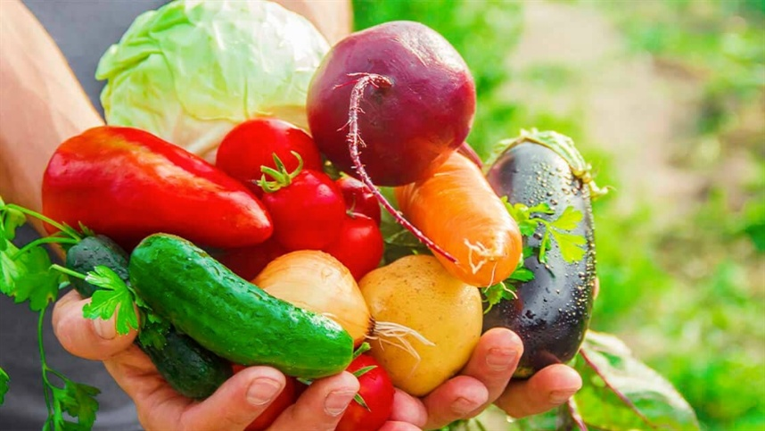 Programa PAA Quilombola 2024 inicia entregas de alimentos para comunidades tradicionais