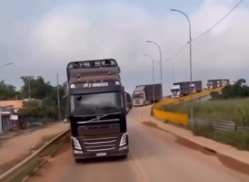 Comboio de carretas com bois chama atenção ao sair de São Félix do Xingu com destino a Campos Belos (GO)