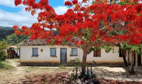 MPF obtém sentença que determina conclusão da titulação do território quilombola Kalunga (GO)