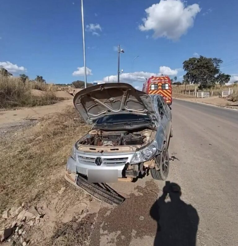 Colisão entre carro e cavalo é registrada na GO-118, em Campos Belos (GO)
