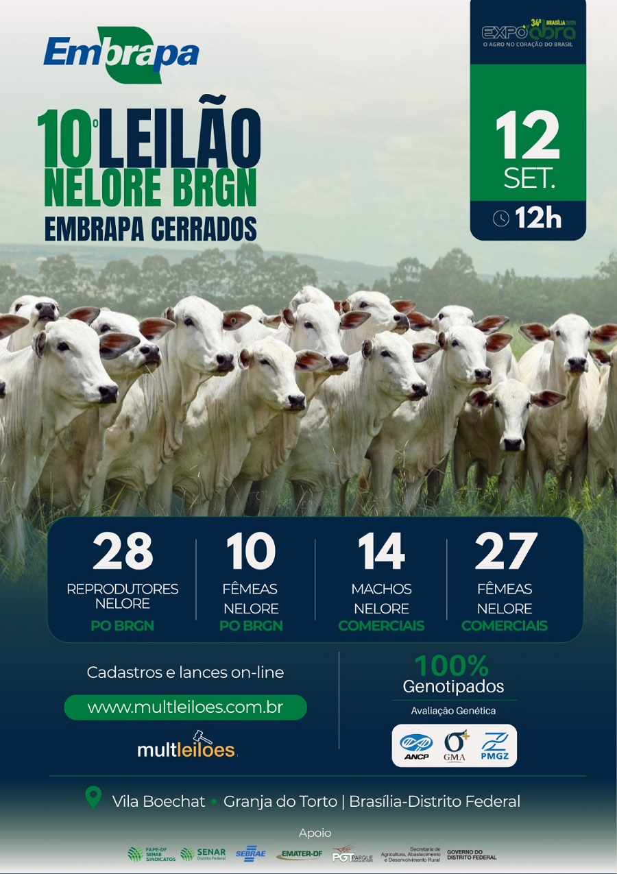 Bovinos com genética Nelore da Embrapa são ofertados em leilão no próximo dia 12